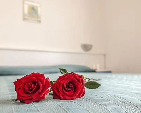 Fortuna Ξενοδοχείο Κιότζα